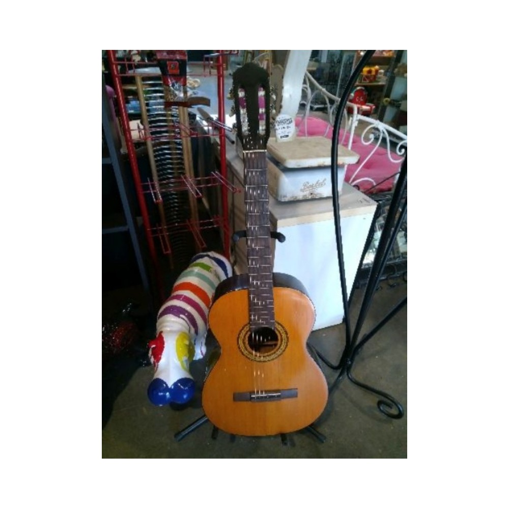 Guitare accoustique avec pochette